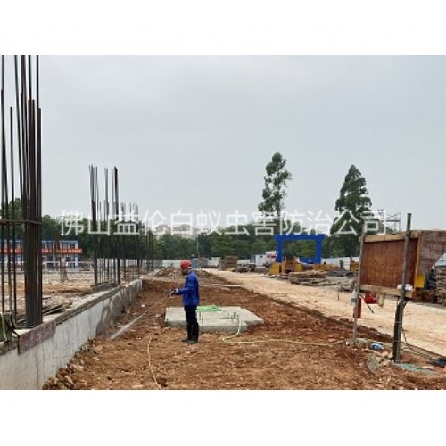 沙头地基防白蚁工程